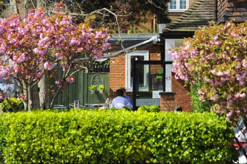 21230356.jpg_1581584678